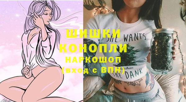 дмт Коряжма