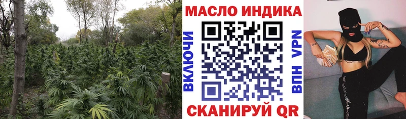 ТГК Wax  где продают   Касимов 