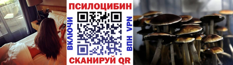 Галлюциногенные грибы прущие грибы  Касимов 