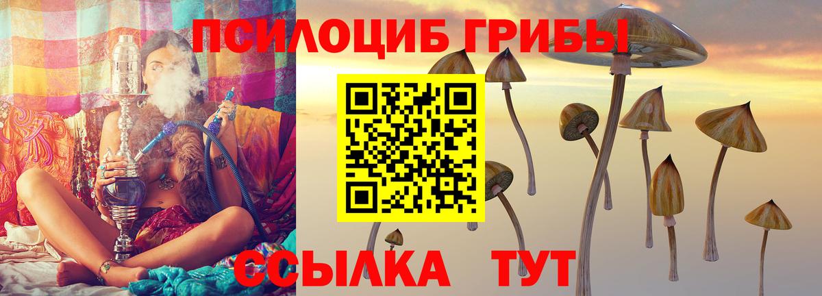 Галлюциногенные грибы Psilocybe  Псилоцибиновые грибы MAGIC MUSHROOMS  Касимов  Вход с VPN 